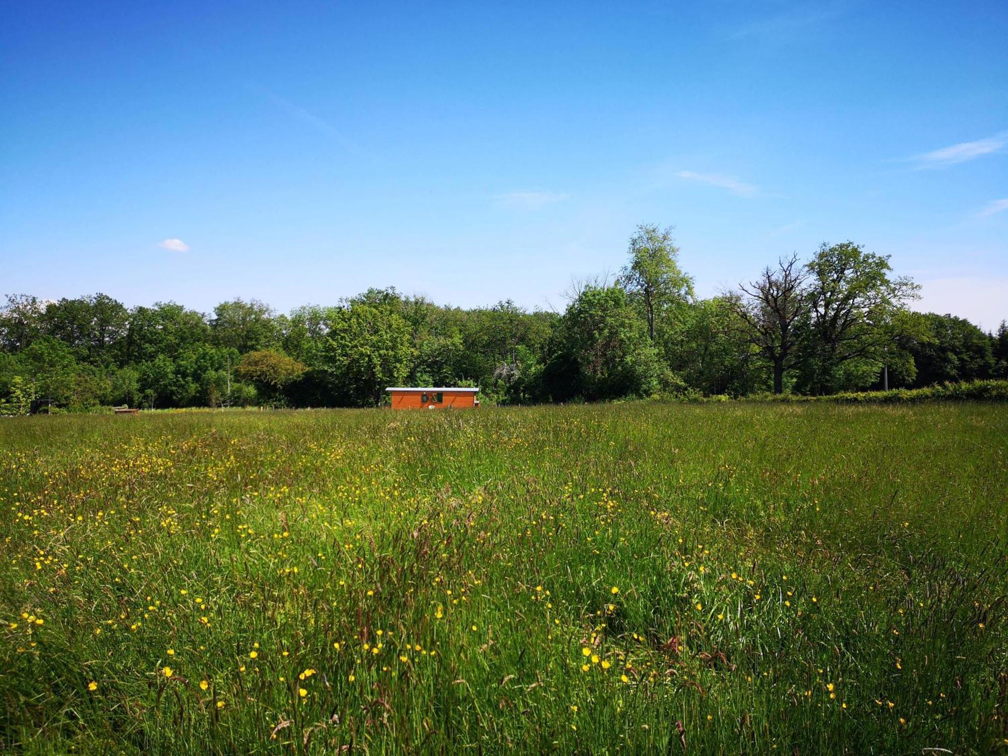 Roulotte & Foret - Evasion Boheme En Bourgogne Antully Екстер'єр фото
